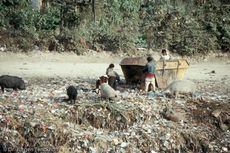 Nepal (53 von 124).jpg